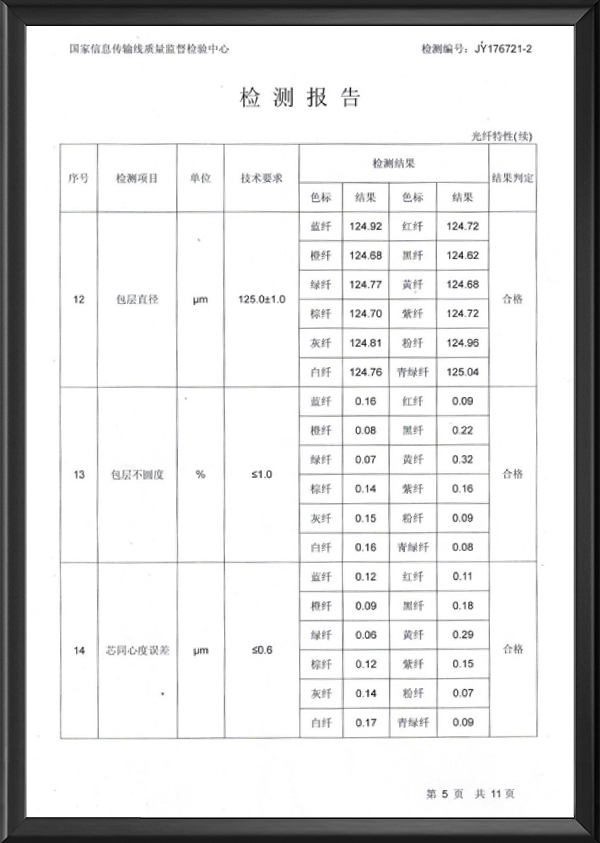 检测报告