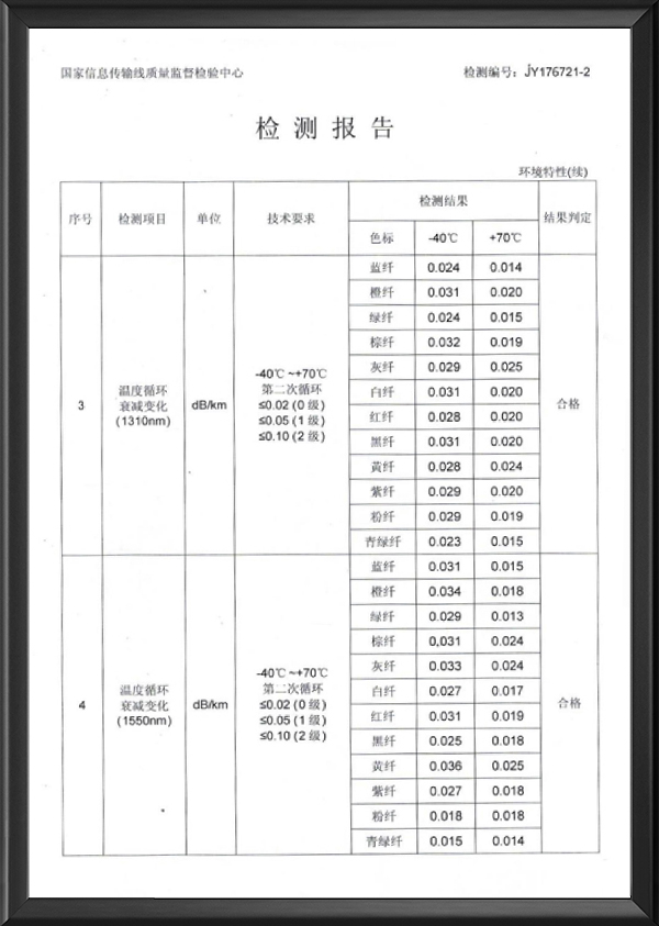 检测报告