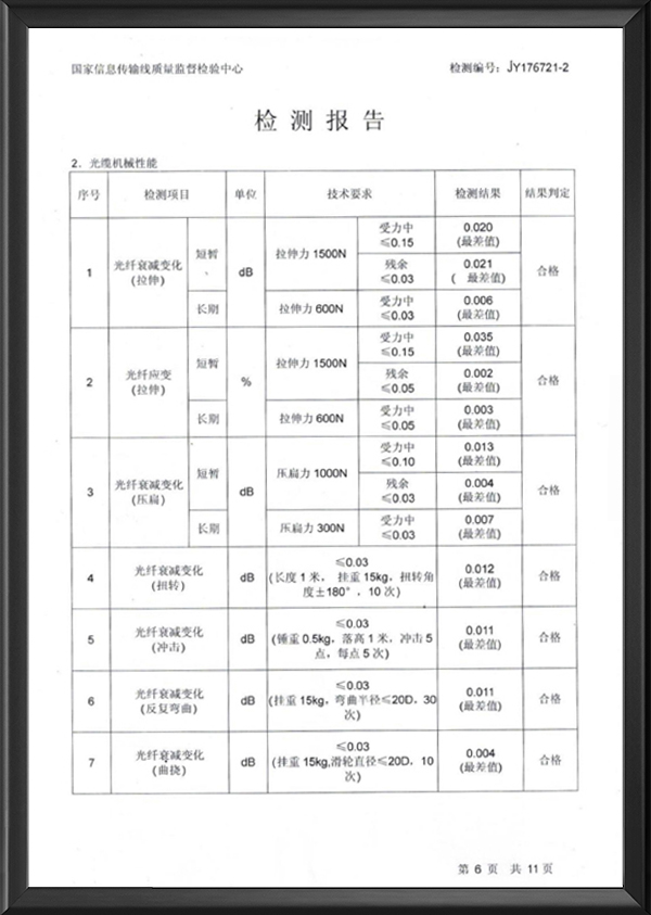 检测报告