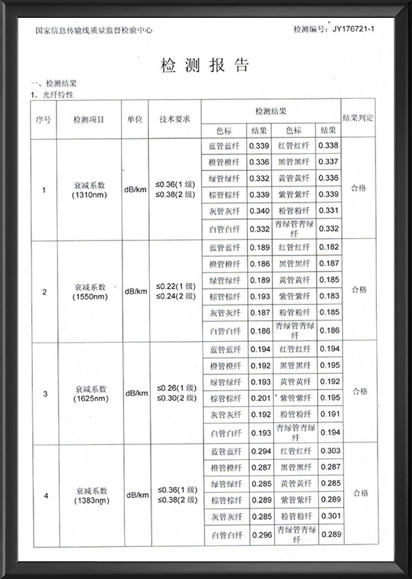 检测报告