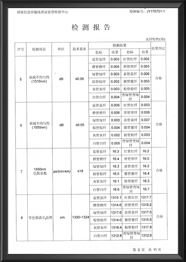 检测报告