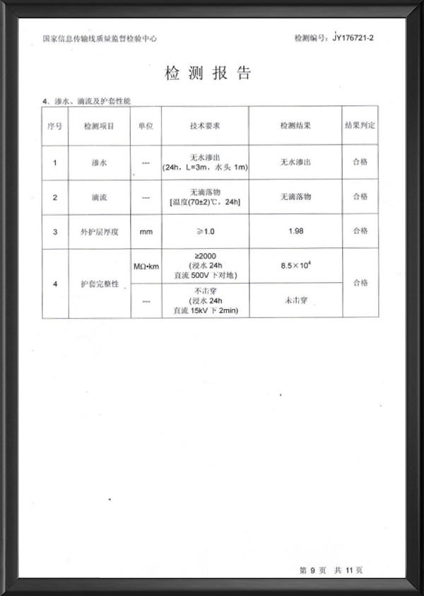 检测报告